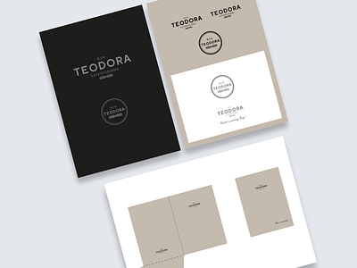 Teodora Exteriorisme app branding design graphic design logo typography ui ux