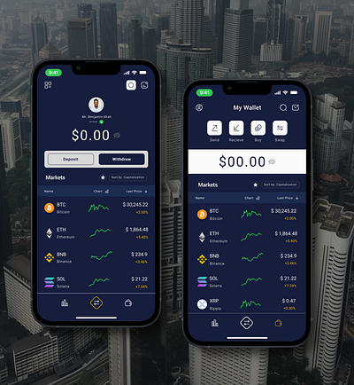 Crypto Wallet Dashboard ui