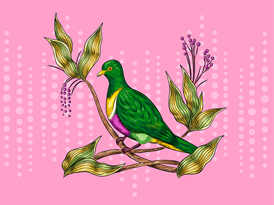 Geelvink fruit dove bird illustration birdlover birds colorful dove exotic birds fruit dove geelvink fruit dove green illustration nature pigeon pink vector vector art vector drawing vector graphic vector illustration wildlife