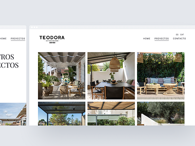 Teodora Website app branding design graphic design logo typography ui ux