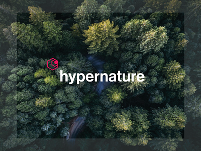 Hypernature - Identity branding design graphic design logo vector