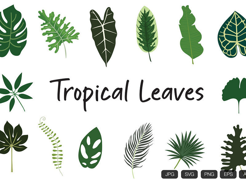 14 Tropical Leaves Hand Drawn by Vintagio Design on Dribbble