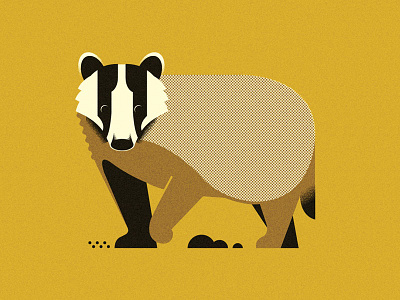 Badger (Personal '23) animals branding character design editorial grain graphic design illustration