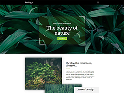 Website Design V0557 UI Design by Build Me Tech on Dribbble