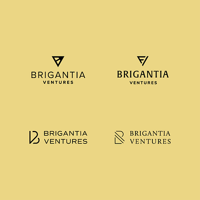 Brigantia Ventures Logo Concepts branding concepts icon illustration logo