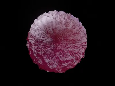 Fur Balls 3d animation blender gfx motion graphics