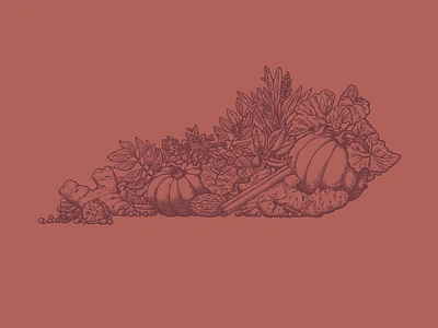 Pumpkin Spice Kentucky autumn botanical culinary drawing fall food illustration kentucky pumpkin pumpkin spice spices