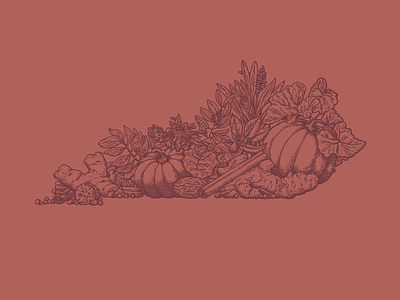 Pumpkin Spice Kentucky autumn botanical culinary drawing fall food illustration kentucky pumpkin pumpkin spice spices