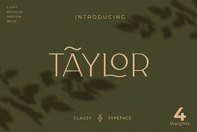 Classy Taylor Typeface art deco font elegant font elegant fonts elegant logo hand lettered fonts lettering fonts logo fonts modern fonts retro fonts vintage fonts wedding font