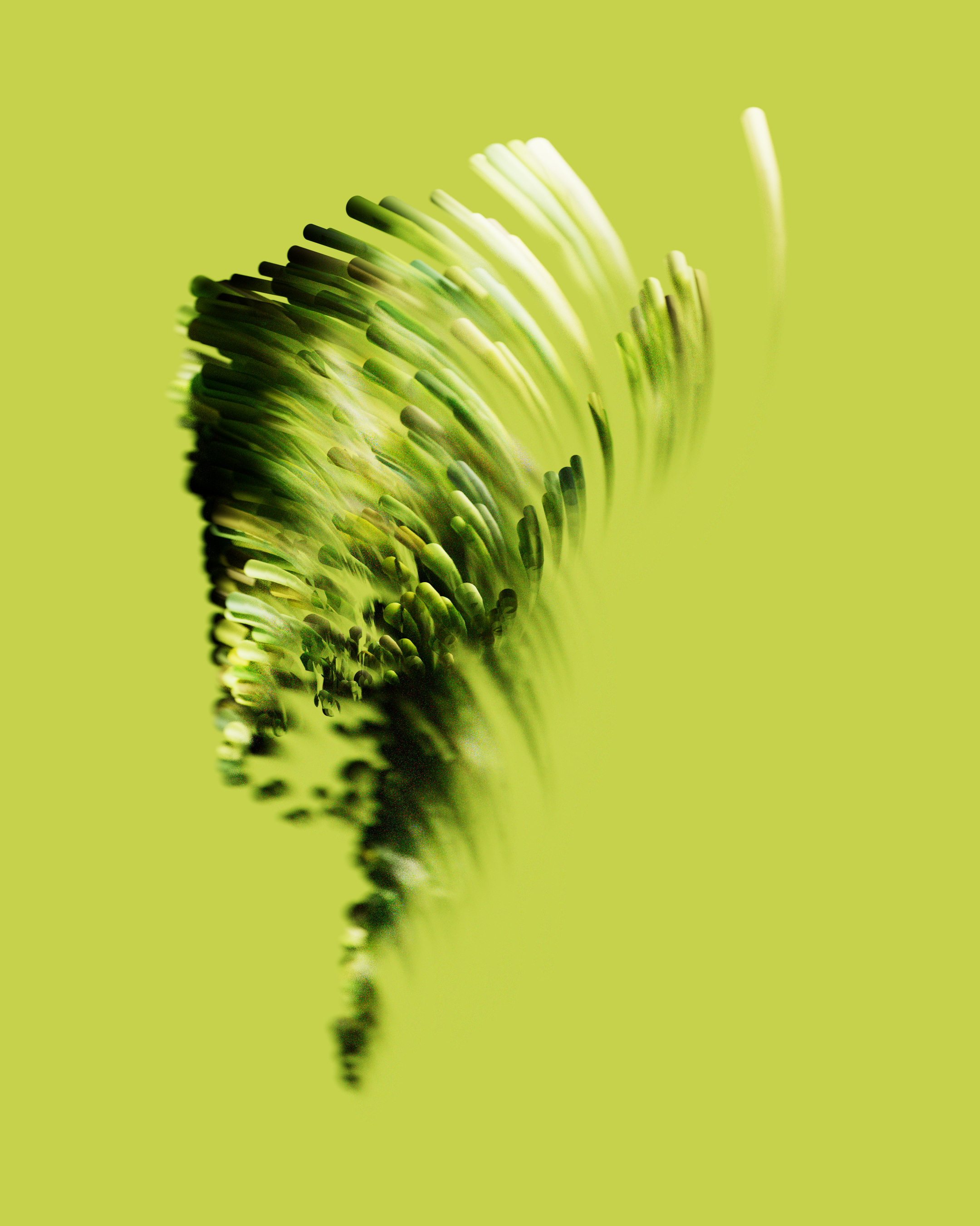 3D illustrations 3d blender ill illustration