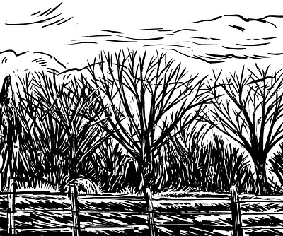 Winter Field blackandwhite digital ink farm field landscape nature procreate sketch winter