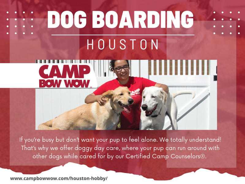 Dog Boarding Service in Houston by Camp Bow Wow Houston Hobby on Dribbble