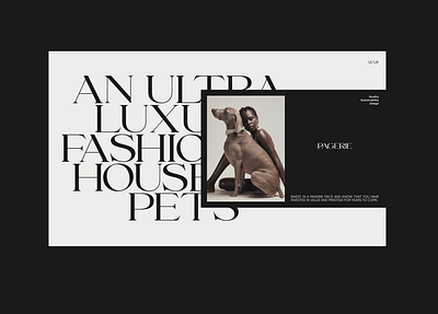 Pagerie | redesign concept design e commerce e shop graphic design interaction design typography ui uiux ux web design