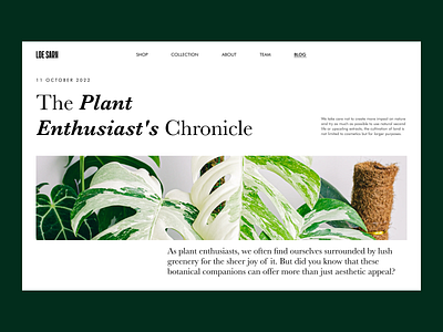 LOE SARN blog blog blogging challengue concept dailyui design ecommerce monstera plant shop ui web web design