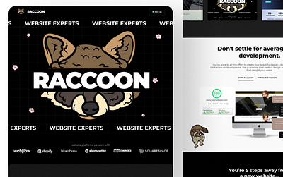 Raccoon the Website Design Agency 🙌 animation design development ui ux web design web development website website agency website design website development