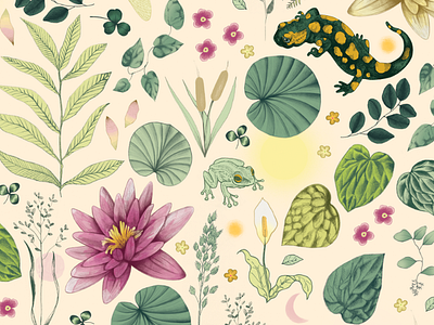 Wild River Surface Pattern Design apparel botanical dragonflies dragonfly frog home decor lily moon nature peace lily plants salamander stationery surface pattern design textile design water lilies wild life