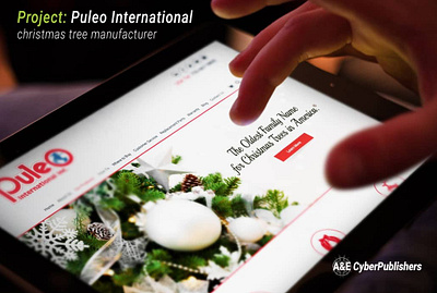 Puleo International design graphic design web design website design