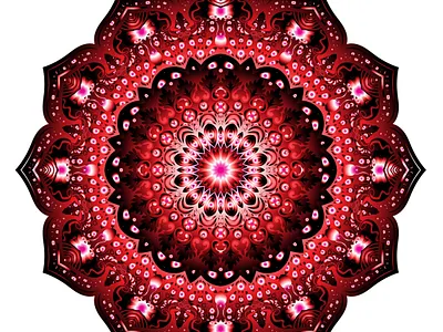 Mandala digital art design 2023 animation design graphic design illustration logo vector