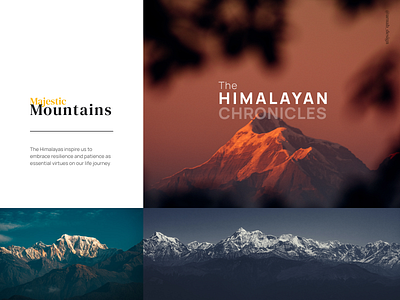 Nature & Learning - The HIMALAYAS branding design dribble graphic design inspiration portfolio design ui