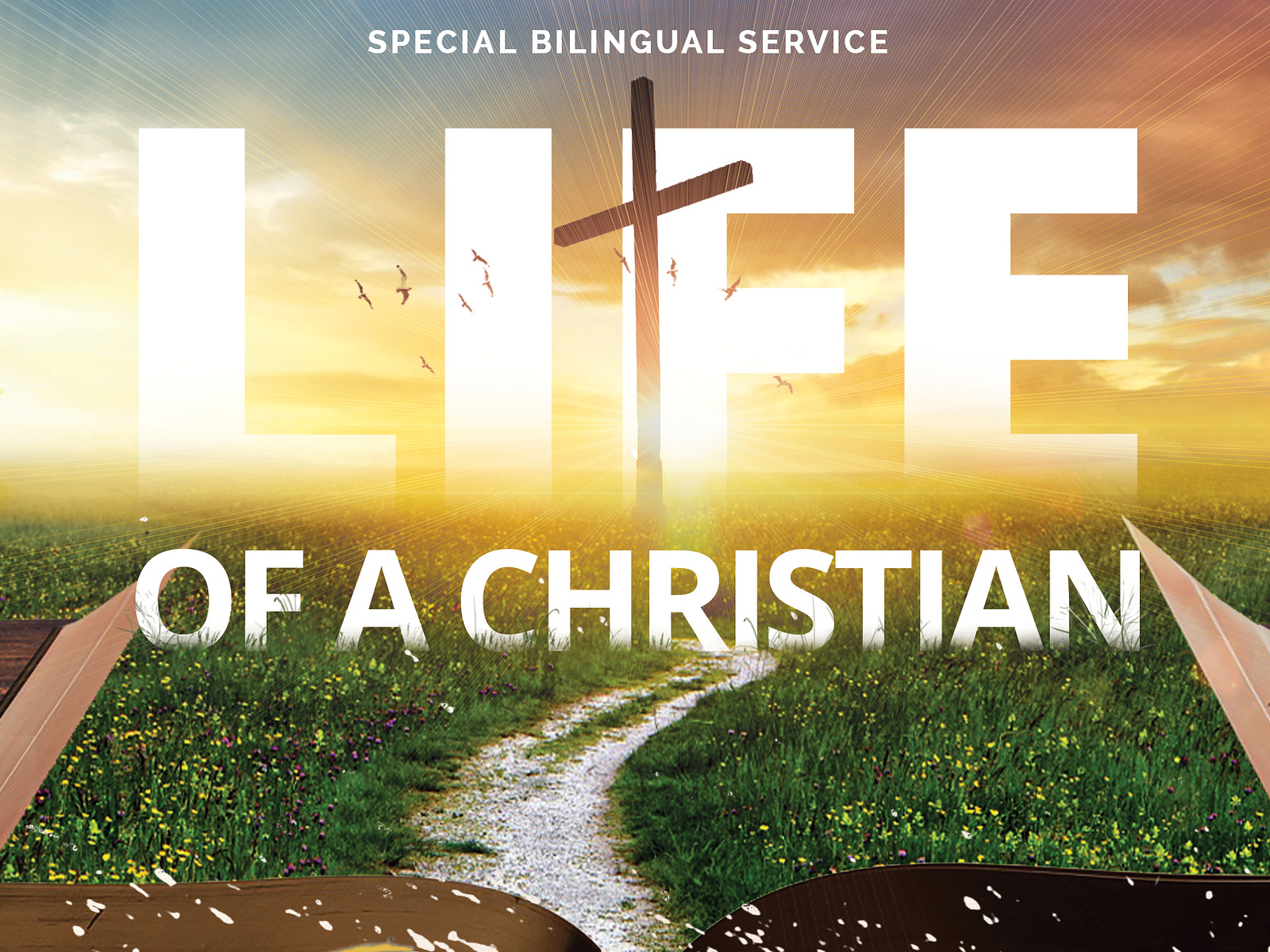 Special Bilingual Service Flyer by Ana Oliveras on Dribbble