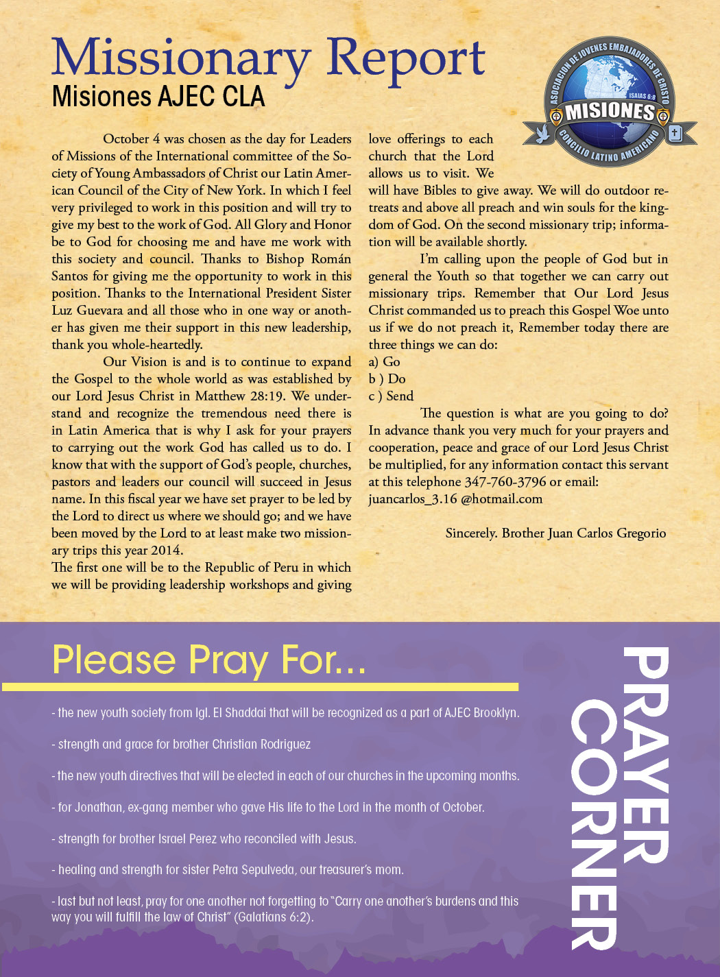 Example of Custom Newsletter Design 