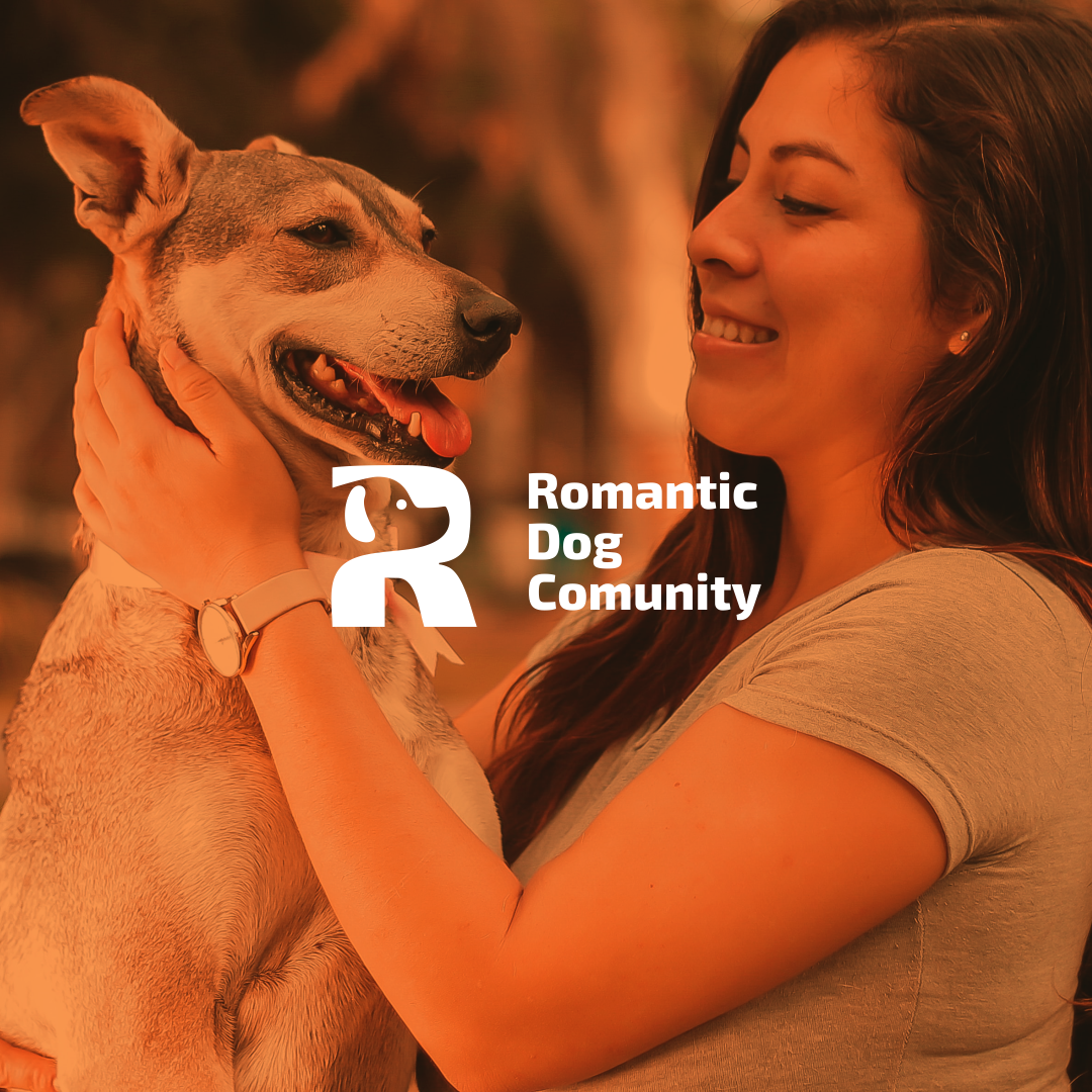 Letter R and Dog Logo brand branding color design dog dog logo illustration letter r logo logo design pet care community logo pet care logo prio hans r logo typography ui ux vector