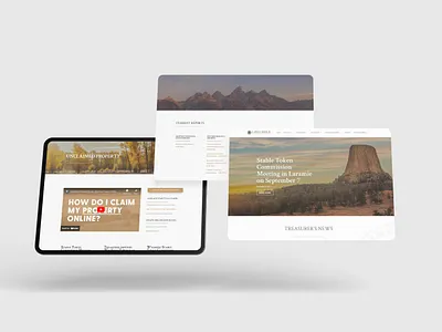 Financial government website