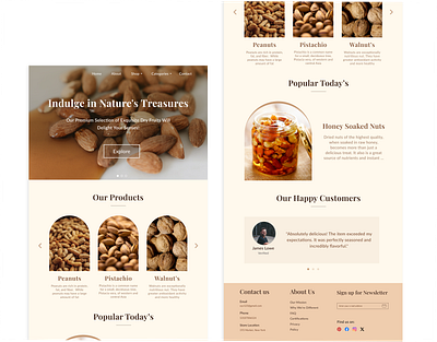 E-commerce Dry Nuts Website Design Theme design template theme ui website