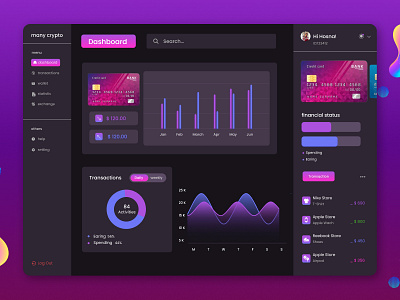 Financial Dashboard graphic design ui