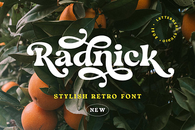 Radnick - Stylish Retro Font classic font