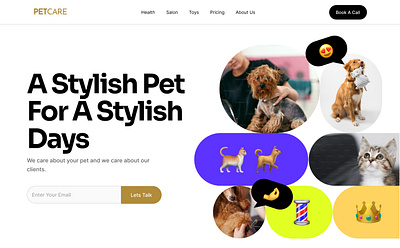 PETcare Profile page graphic design ui ux websdesign