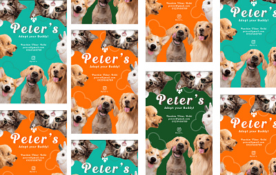 Peter's Pet Adoption branding graphic design logo packaging