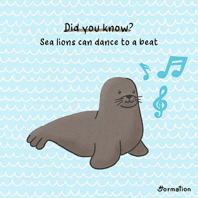 Sea lions can dance to a beat cartoon digital art digital illustration drawing fun fact illustration procreate sea lion
