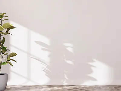 Digital Marketing Assets (Social Media Ads, Web Banners) animation branding facebook ads video graphic design homedecor logo motion graphics ui