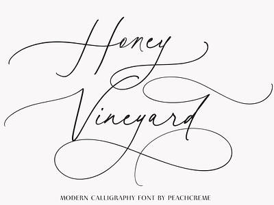 Honey Vineyard // Modern Calligraphy