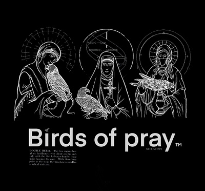 BIRDS OF PRAY design digital ignorant illustration