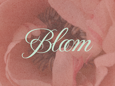 LOGO/IDENTITY OF THE FLOWER'S SHOP "BLOOM" adobe illustrator adobe photoshop brand design brand identity branding design designer flower flower shop flower shop identity flower shop logo graphic design graphic designer identity logo logo design logos logotype vector