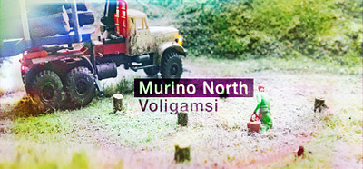 Murino North's 'Voligamsi' album artwork album art