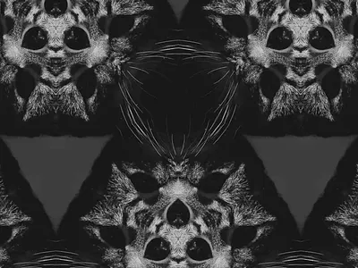 Kaleidarkscope | Figma project figma freebie graphic design kaleidoscope layout mockup template