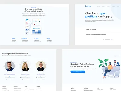 B Eye - Website Quick Look analytics data data analytics