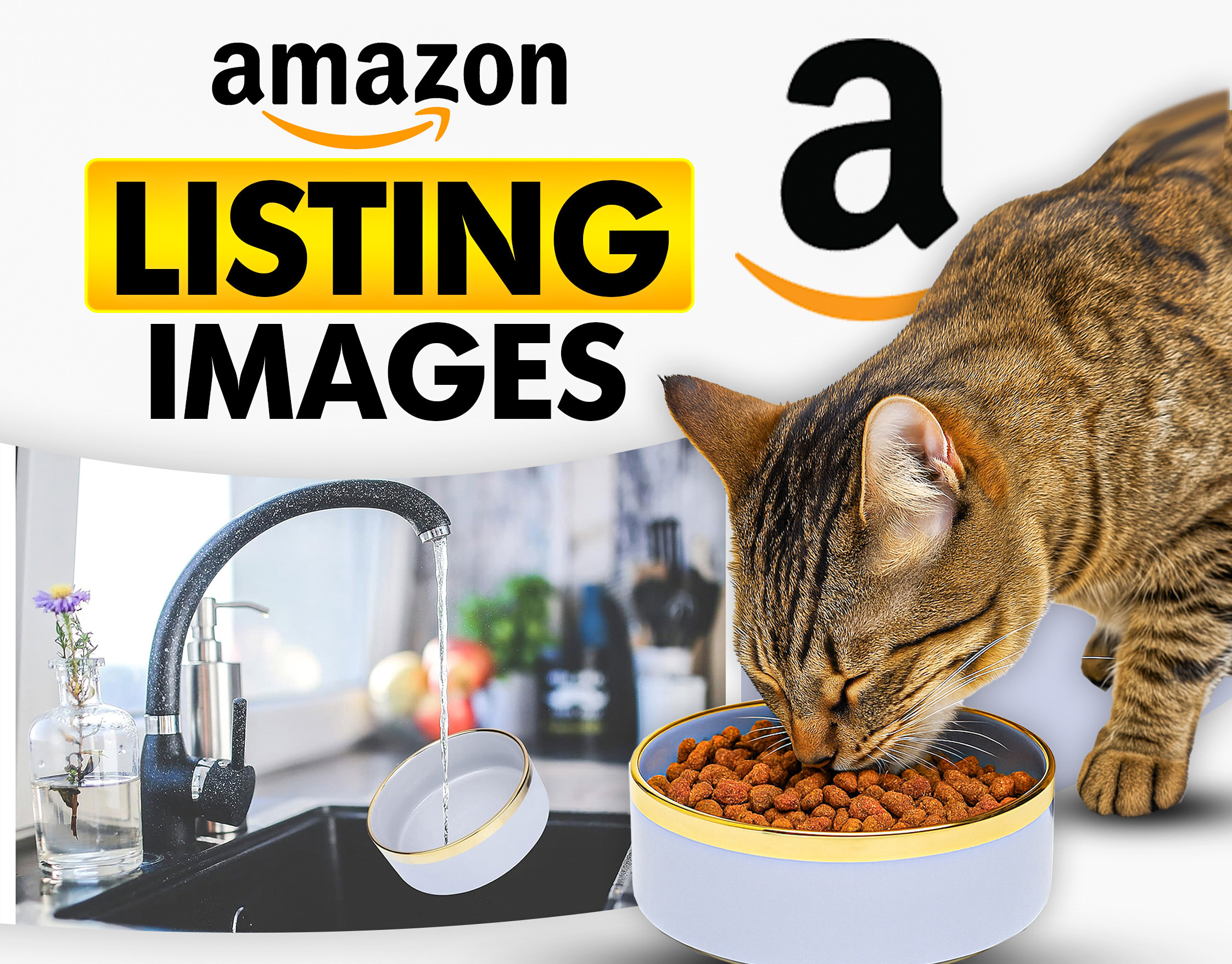 Amazon Listing Images- Pet Friendly Ceramic Bowl amazon branding design graphic design graphicdesign illustration listingimages photoshop