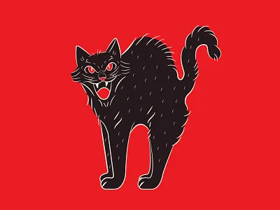 Black Cat art black cat cat community design dribbble halloween illustration illustrator vector