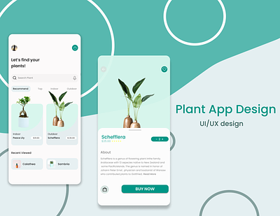 Plant App Design animation branding graphic design ui ux visible