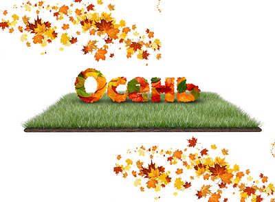 Осень design illustration листья осень