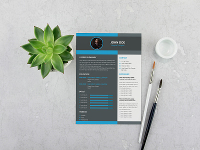 Visual Resume: A Modern Career Showcase branding clean resume colorful resume corporate resume cv minimalist modern modern resume professional resume resume self branding template