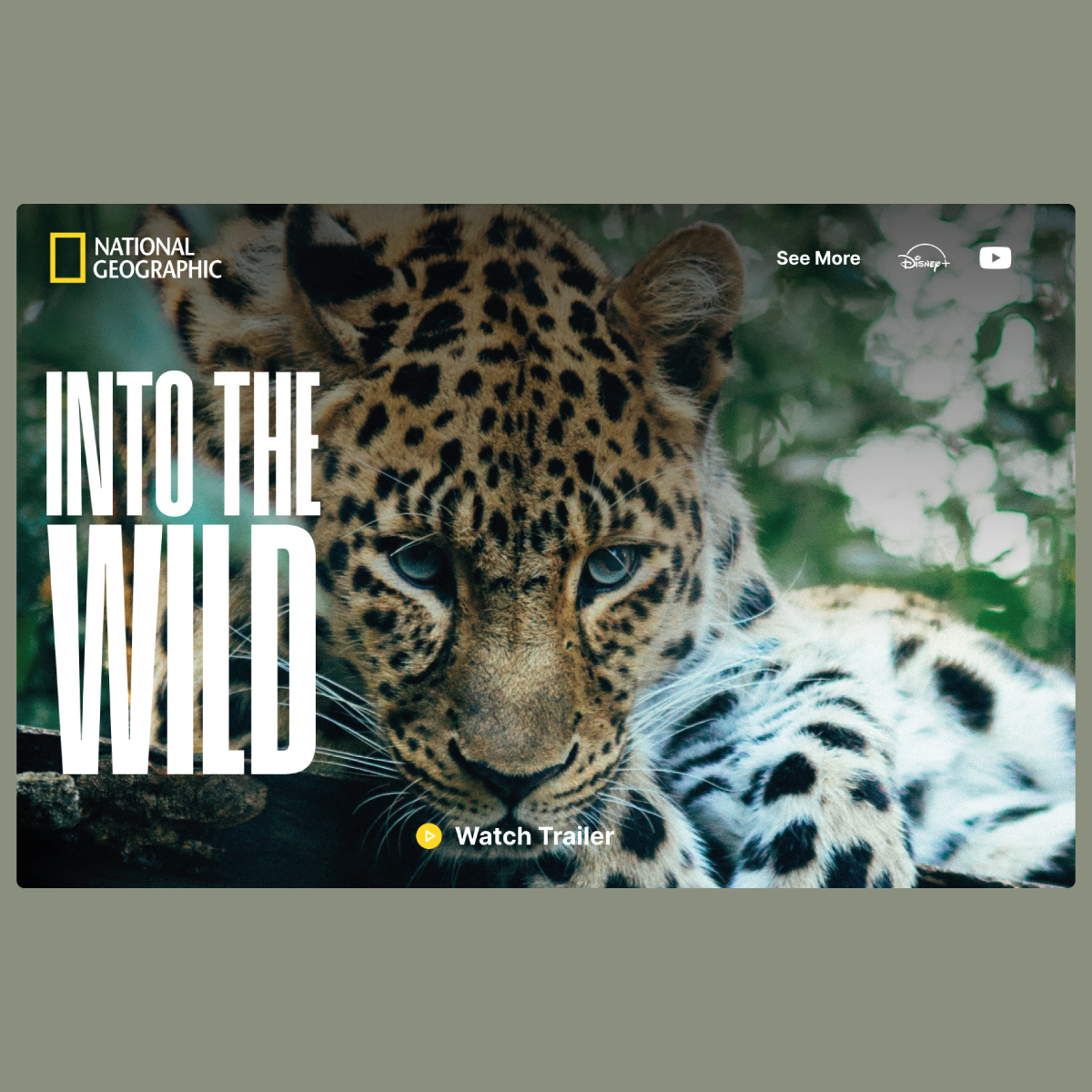 NATIONAL GEOGRAPHIC DOCUMENTARY FILM visual data 7