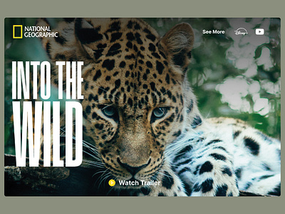 National Geographic Documentary Concept concept disney documentary inspiration national geographic streaming ui website
