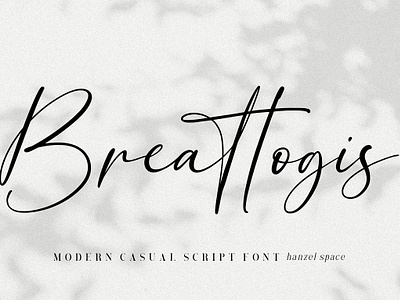 Script Font designs, themes, templates and downloadable graphic elements on  Dribbble