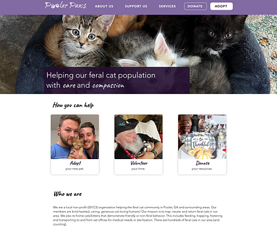 Pooler Paws adoption cat cats charity nonprofit pets ui ux wix