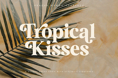 March Voyage - Stylish Retro Serif Font